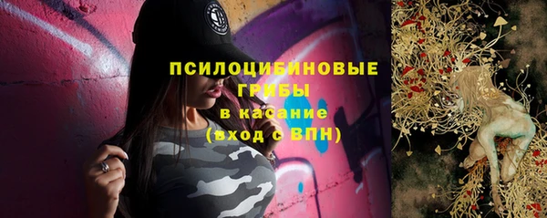 прущие грибы Орск