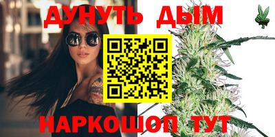 стафф Дубна