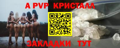 стафф Дубна
