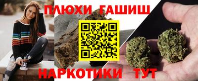 стафф Дубна